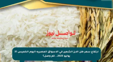 ارتفاع سعر طن الأرز الشعير في الأسواق المصرية اليوم الخميس 31 يوليو 2025.. كم وصل؟